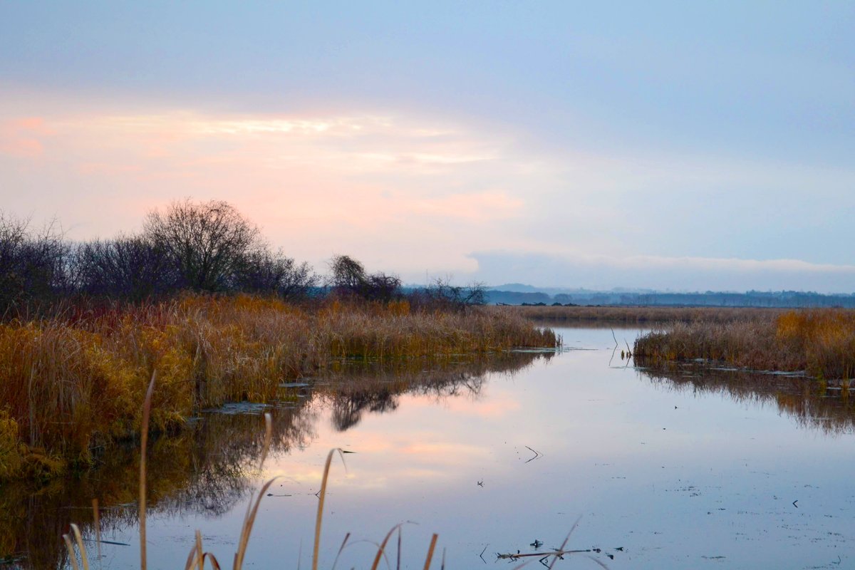 On #WorldWaterDay we reflect on water as a shared resource. At LSRCA, we use science to inform actions to protect water quality to preserve health, recreation, and ecosystem function. Think about how important water is for all living communities—from human to the natural world!