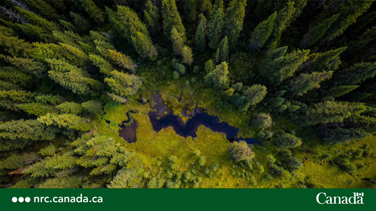 ‘Water’ you learning this #WorldWaterDay? #DYKT researchers, supported by #GRDICanada, used genomics to better understand the impact of different agricultural and water management practices have on ecosystems and human health ow.ly/3Eao50QZu0h