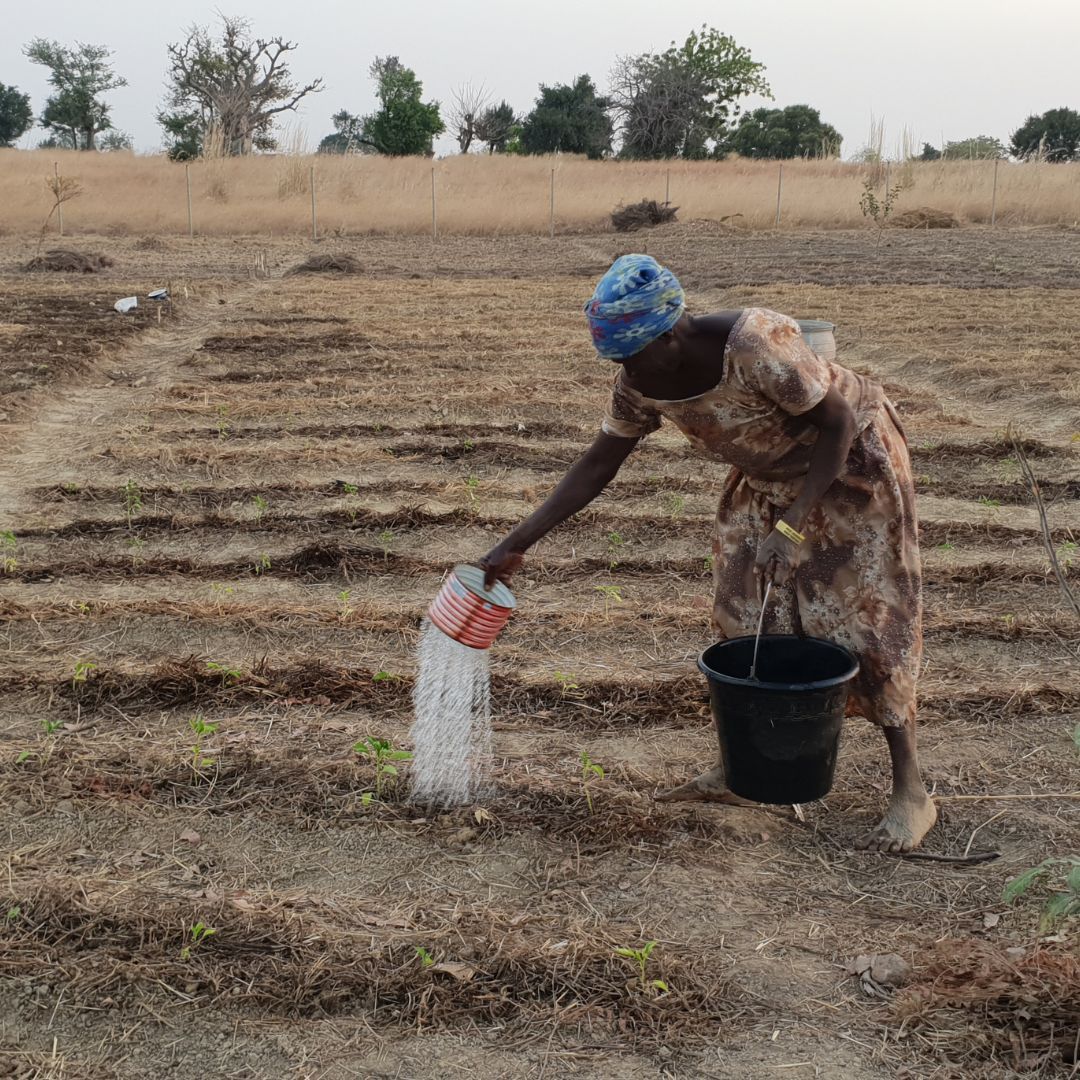 Water can create peace or spark conflict. When water is scarce/polluted, or people struggle for access, tensions can rise. By cooperating on water, we can balance everyone’s water needs and help stabilize the world. #WorldWaterDay