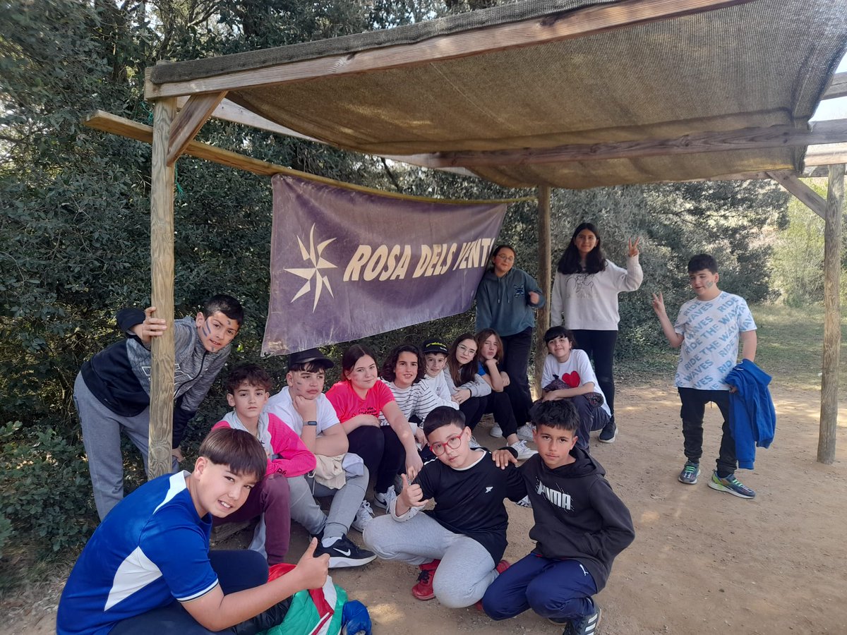 Jose Mestre Pereira tweet media