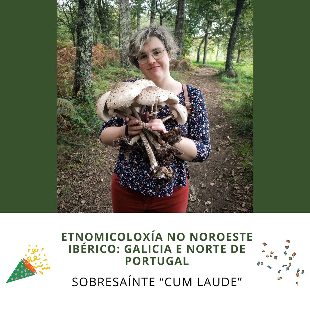 MycoGalicia Plantae tweet media