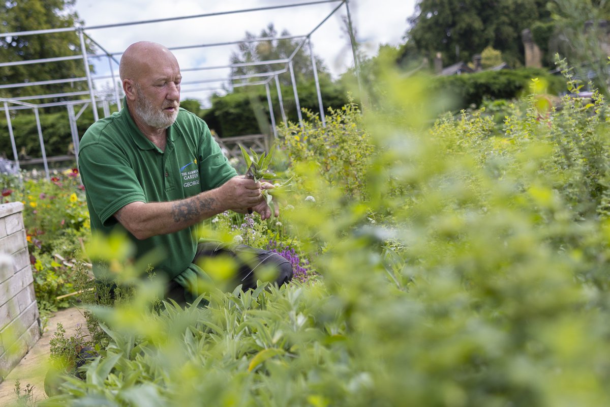 .@AlnwickGarden has received £350k to support its Growing Together Northumberland project. The funding will benefit people over the age of 16 to gain work experience, volunteer with the charity & also engage in community-led projects such as sustainable gardening practices! 🌱