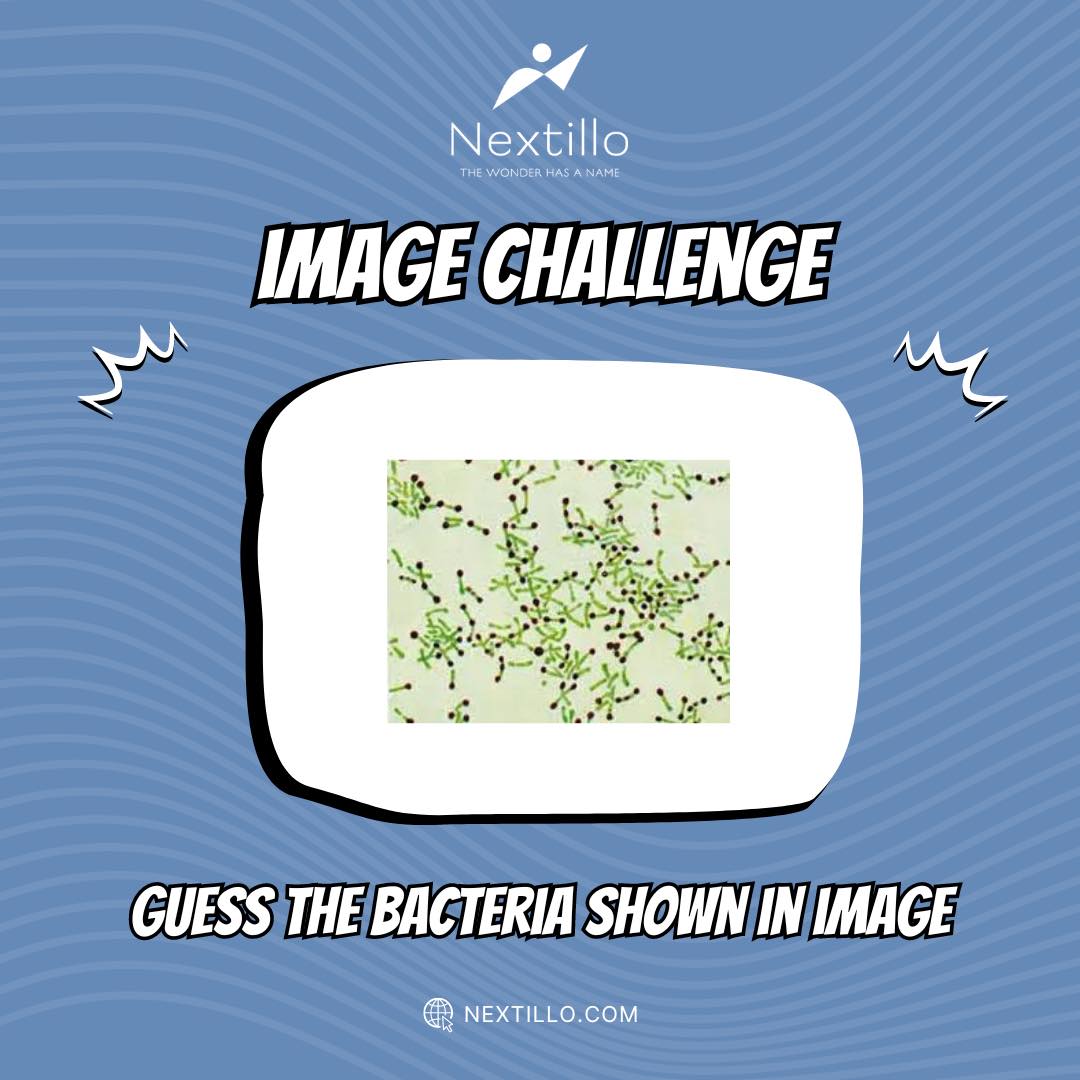 Here’s today’s #ImageChallenge! Can you identify the bacteria in this image? 

#fmge_mci_exam #fmge #fmgequestions #fmgepreparation #neetpg #neetpgpreparation #neetpgquestions #medicalinfo #medicalinformation #medicalmemes #medicalstudents #radiology #radiologysigns