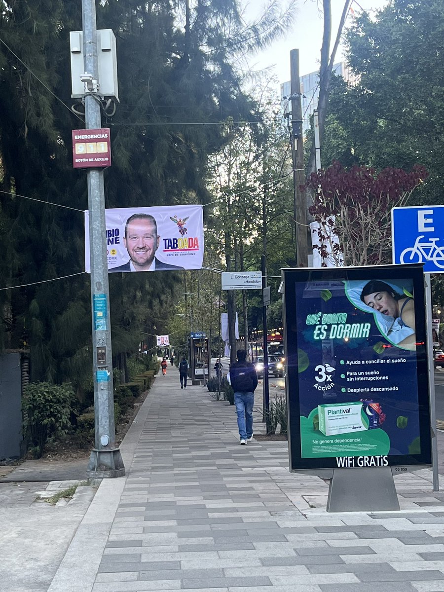 Casi todos los días vengo a caminar al Parque Hundido. Ayer, a esta hora, andaba una cuadrilla de Clara Brugada tapizando cada poste… y así amanece hoy la guerra de cartelazos, qué necesidad de contaminar la CDMX  <a href="/Reforma/">REFORMA</a>