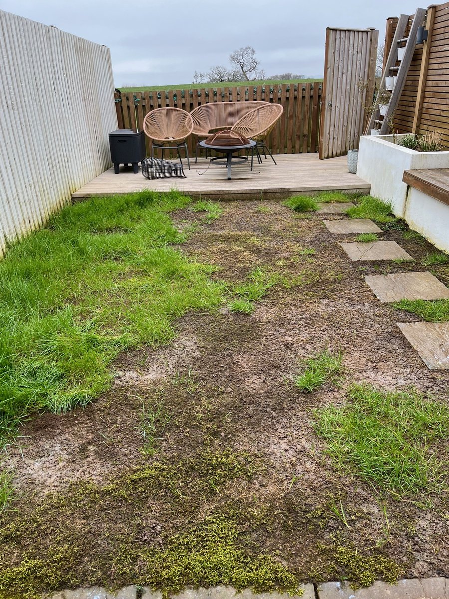 Our team are finding Leatherjackets (Crane Fly Larvae) are thriving this spring! Left untreated these maggot-like grubs can cause lots of damage to your lawn.

If you suspect you have Leatherjackets call us now for a free quote.

lawnweedexpert.co.uk/lawn-pest-mana…