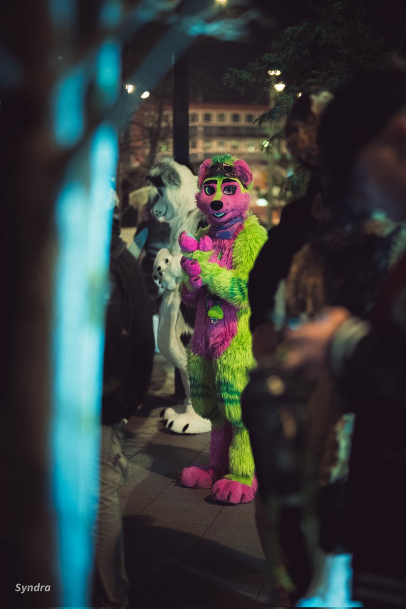 Happy #FursuitFriday ! I realy love this picture🥰🥰 thanks to @SyndraFox 💚🤗