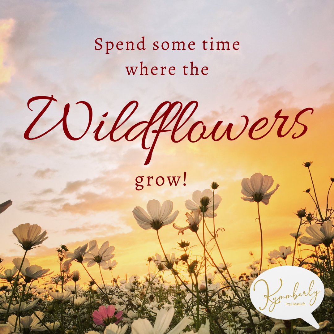 Pr31BossLife's tweet image. Let's celebrate Spring! Share a photo of your favorite spring scenery - whether it's blooming flowers, a vibrant sunset, or the greenery that lifts your spirits. Let's do this! 

#SpringScenery #SpringVibes #SpringBreak