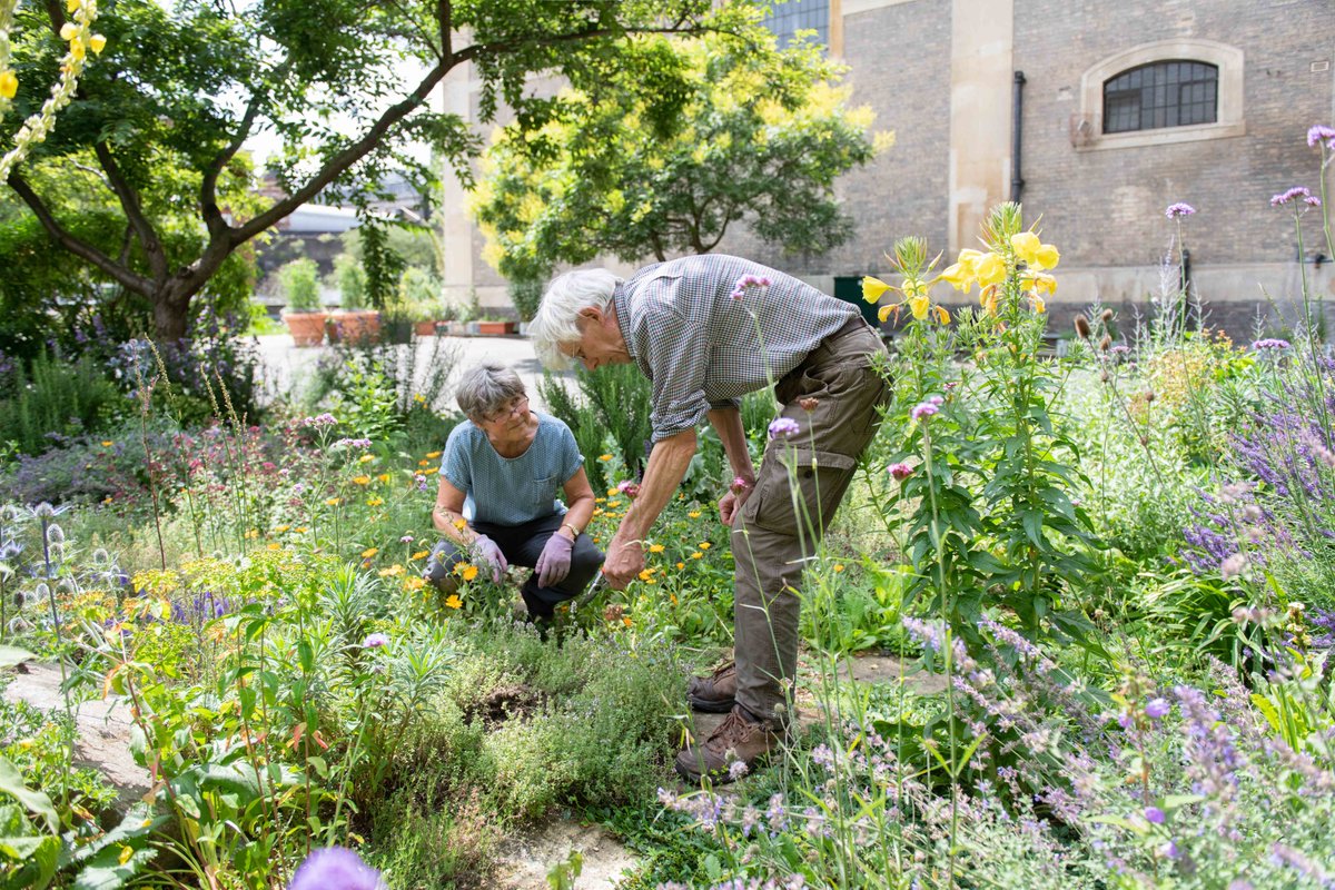 📢 We’re seeking a Community Gardener to join our team! 🌿Our churchyard is an award-winning urban garden in the heart of London. Recognised with Green Flag and Gold in London in Bloom, it's a vibrant community space thanks to our volunteers and the local community.