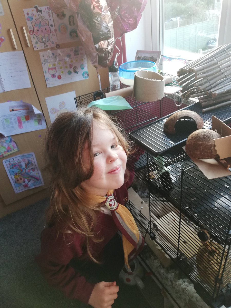 lynzch7's tweet image. @RimroseHope Isla cleaning her gerbils enclosure today before achool #scienceatrimrose #scienceselfie #scienceweek