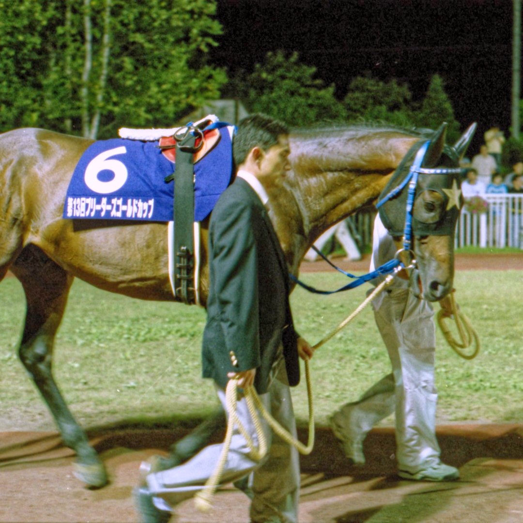 AVANTI Sサイズ 第1回ジャパンカップダート ウイングアロー ウイング