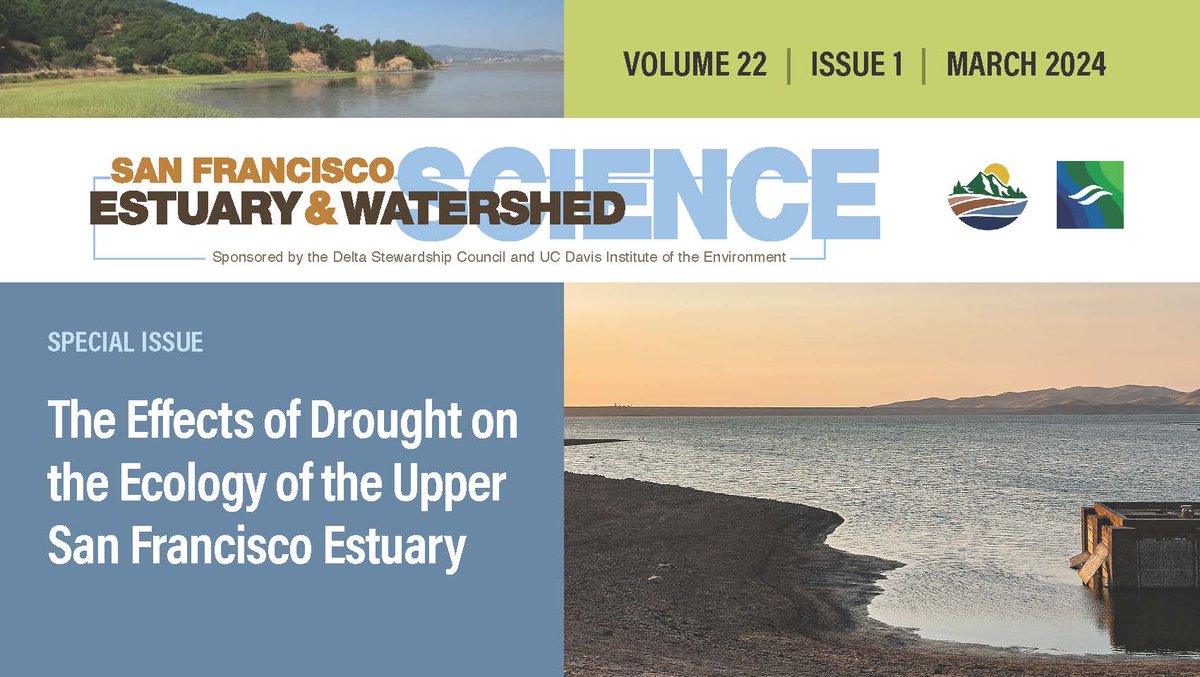 During the past 20 yrs, effects of invasive species in the #SFEstuary may have increased in response to frequent and severe droughts. In future, this low-outflow, warming, clearing estuary—plagued by invasive species & low pelagic fish production—is becoming the new “normal.”