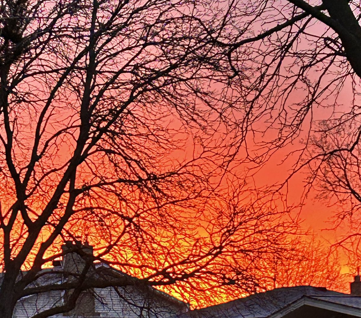 BrooksBrooksel's tweet photo. Hello Friday 🥰 https://t.co/NYWF78DCeu