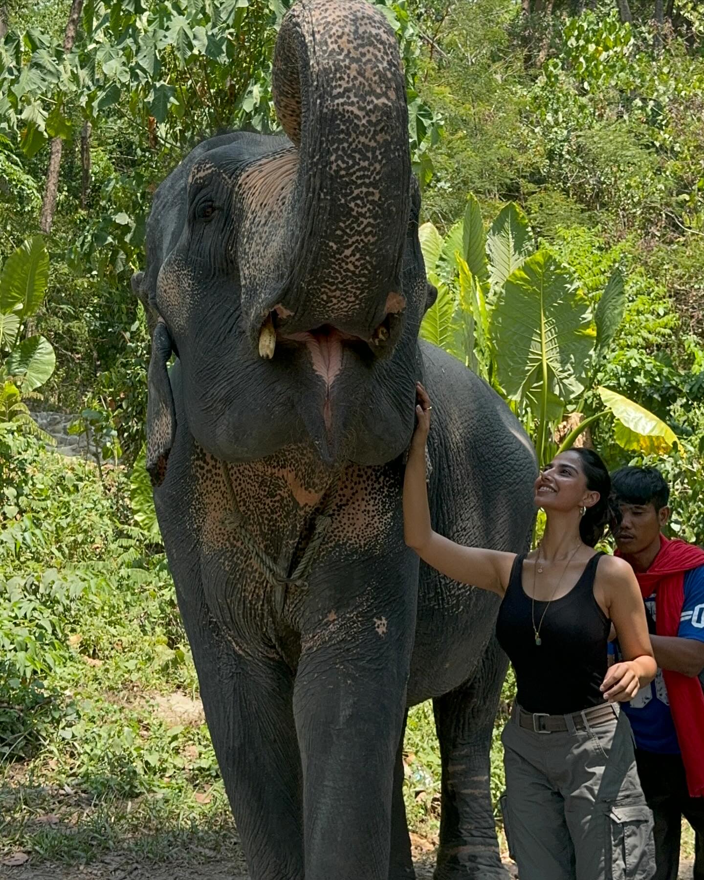 GJRx9PLbsAIR0mH?format=jpg&name=large