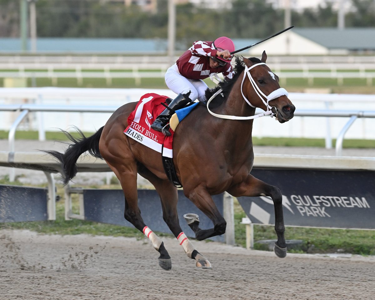 Undefeated Florida bred HADES will head to the Florida Derby at @GulfstreamPark and his co-owner @robertcotran joins to talk about it! inthemoneypodcast.com/the-owners-box…