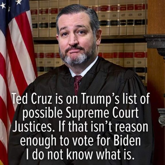 Damaan4u33's tweet photo. Do you agree that Ted Cruz being on Trump's list for the SCOTUS is an added incentive? Then vote Blue to keep the mofo'er out of the White House! ⤵️⤵️⤵️ https://t.co/P4IaI0pbdT
