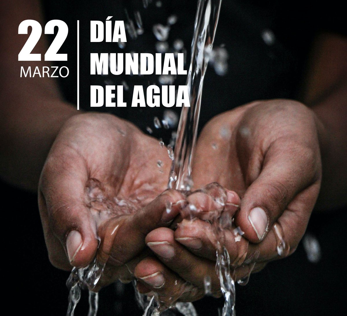 Onda Latina (@ondanoticias) on Twitter photo 