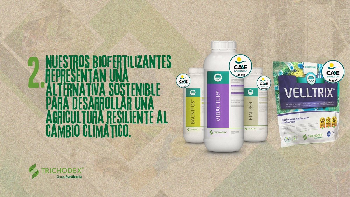 trichodex_es's tweet photo. En el #DíaMundialdelAgua 💧 Afirmamos la importancia de los #biofertilizantes, una alternativa sostenible para desarrollar una agricultura resiliente al cambio climático.
📷 ¿Quieres saber más? ¡Haz clic! https://t.co/tFN2AdMTAD
#BiotechForLife #WaterDay #GrowingTogether https://t.co/u6T6FehYAe