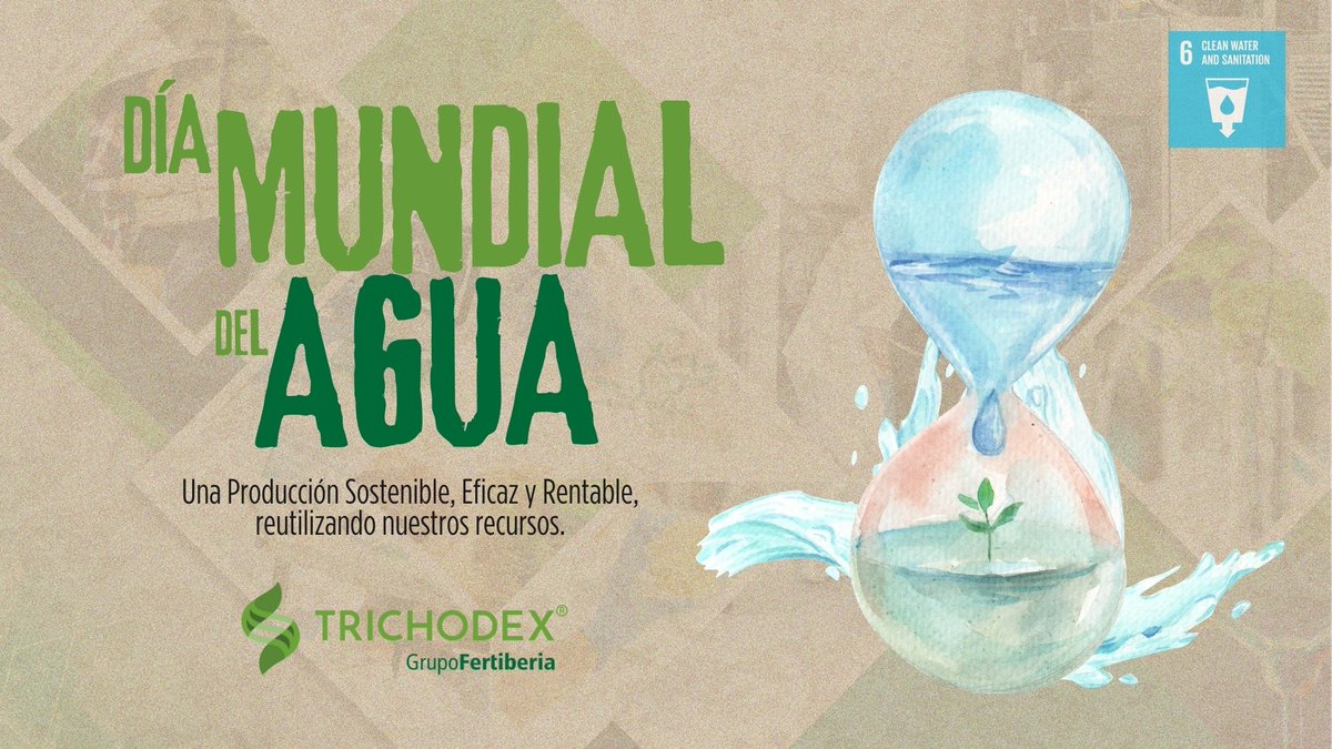 trichodex_es's tweet photo. En el #DíaMundialdelAgua 💧 Afirmamos la importancia de los #biofertilizantes, una alternativa sostenible para desarrollar una agricultura resiliente al cambio climático.
📷 ¿Quieres saber más? ¡Haz clic! https://t.co/tFN2AdMTAD
#BiotechForLife #WaterDay #GrowingTogether https://t.co/u6T6FehYAe