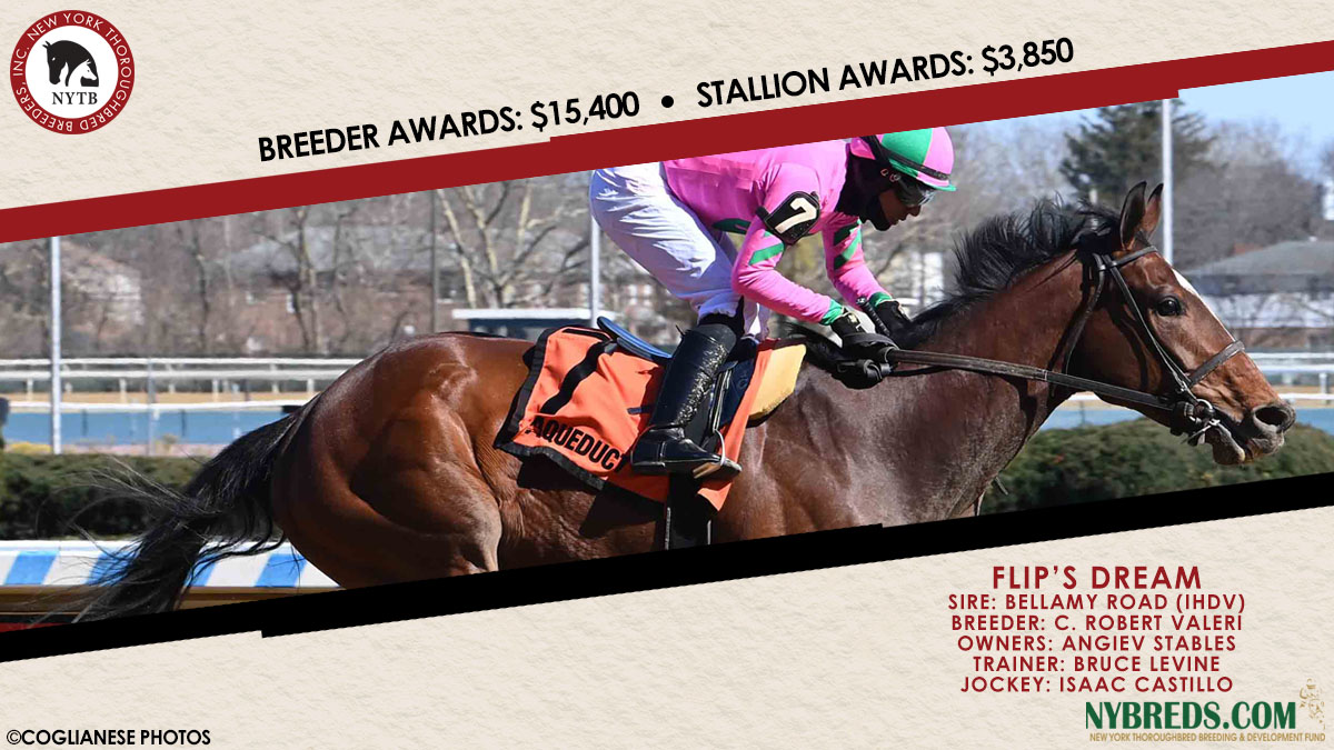 New York-breds swept the first seven races on yesterday's <a href="/TheNYRA/">NYRA (🗽)</a> card, earning more than $70,000 in combined awards for their connections! Learn more about the incentive program that awaits when you get with the #NYbred program: bit.ly/2K2MZ3V