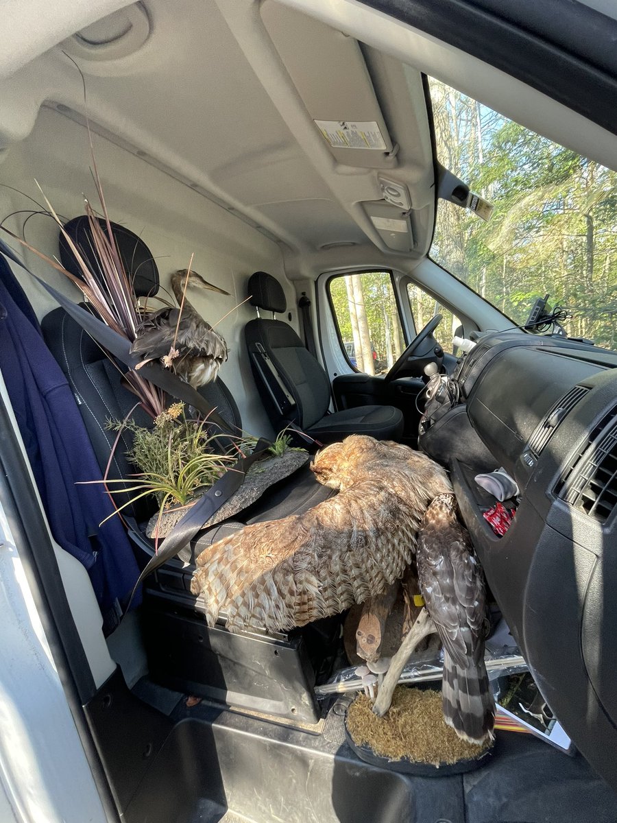 AEchoEnvEdAACPS's tweet photo. Trees are Terrific! is heading back to Downs Park. Kindergarteners, we’ll see you after spring break!
#aacpsfamily #belonggrowsucceed #aacpsawesome #TreesAreTerrific #EnvironmentalLiteracy #OutdoorEducation #Kindergarten #DownsPark #gettingkidsoutside https://t.co/xyFXjDhcy8