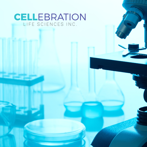 cellebrationsci's tweet photo. All cells of the living human body are adult stem cells. Stem cells found in amniotic fluid, placenta, and cord blood represent the earliest stage of adult stem cells and are routinely collected and “banked” for potential use. 

Learn more: https://t.co/mVwaNDu6NJ https://t.co/dbIfNbFbEV