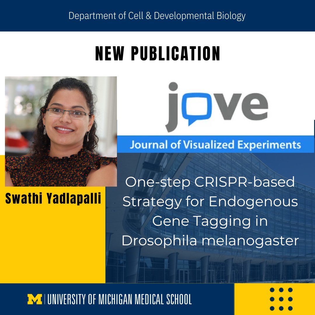 New Publication from the Yadlapalli Lab! 'One-step CRISPR-based Strategy for Endogenous Gene Tagging in Drosophila melanogaster,' has been published in the Journal of Visualized Experiments. Read article: jove.com/t/64729/one-st… #Research #Neuroscience #Drosophila #CRISPR