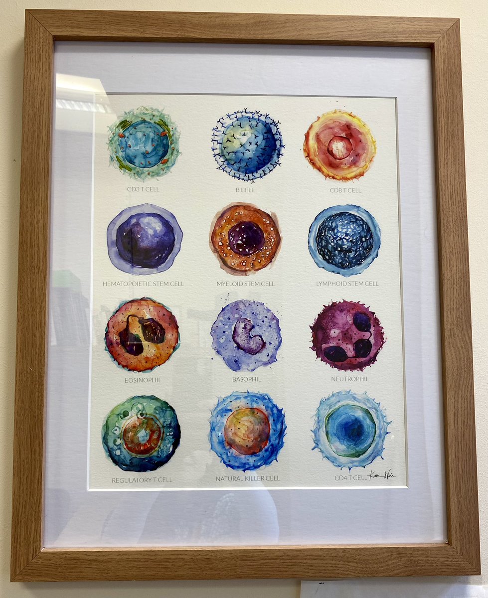 Beth Psaila tweet media