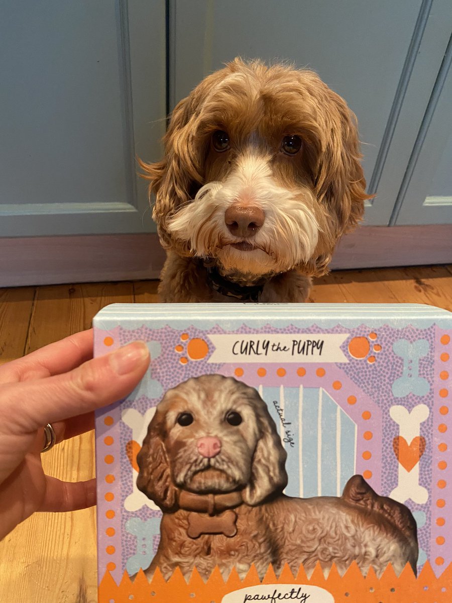 Feeling very fortunate to work with the very best lab team - not only do they deliver exciting science, great ideas and good company, they also surprise me with beautiful wall art and a chocolate version of my dog for my birthday #LabUtopia @MRC_WIMM @UniofOxford