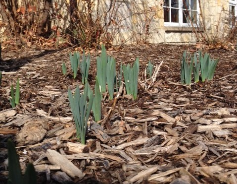 Palos Park E-News is out now! conta.cc/3PyGB91