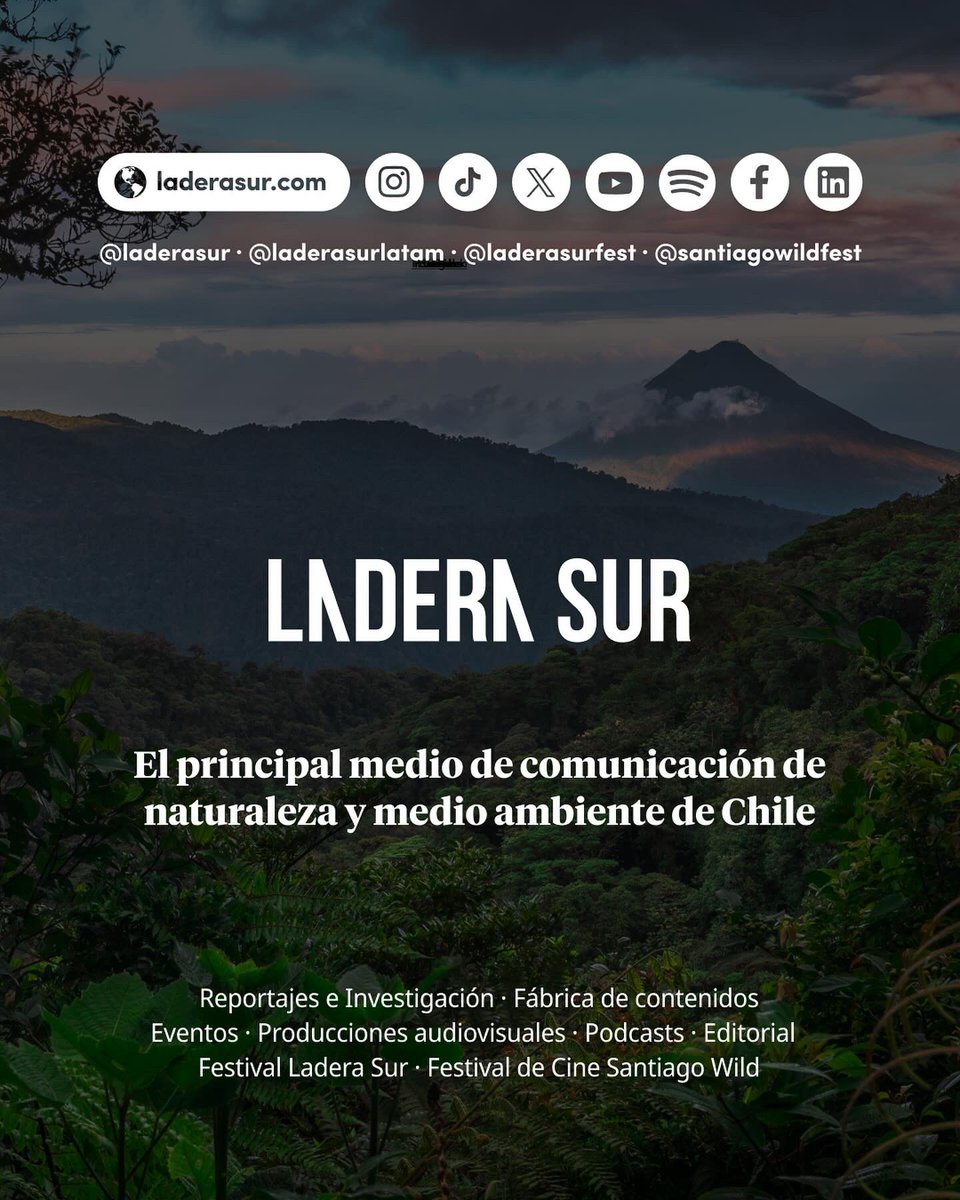 Ladera Sur 🌎 tweet media