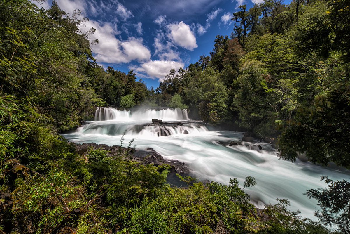 Ladera Sur 🌎 tweet media