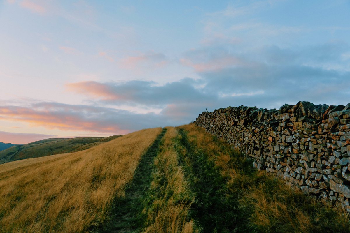 Evenings at the Peaks //