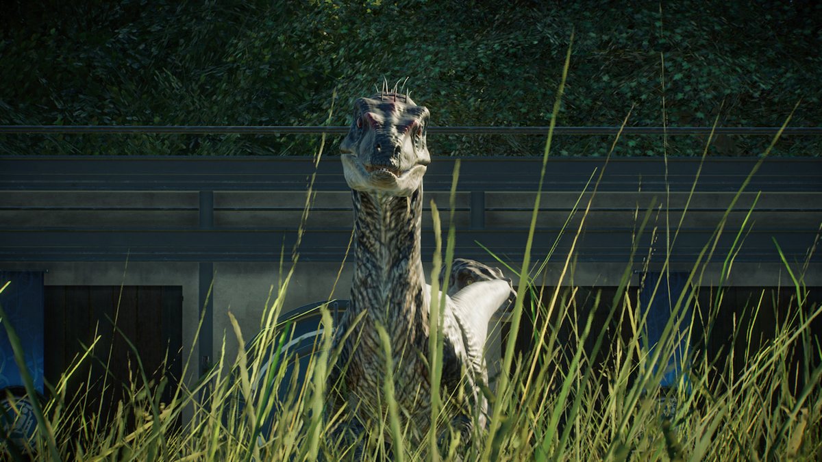 ...Clever girl... 📷 A risky photograph from Discord user A Yutyrannus!