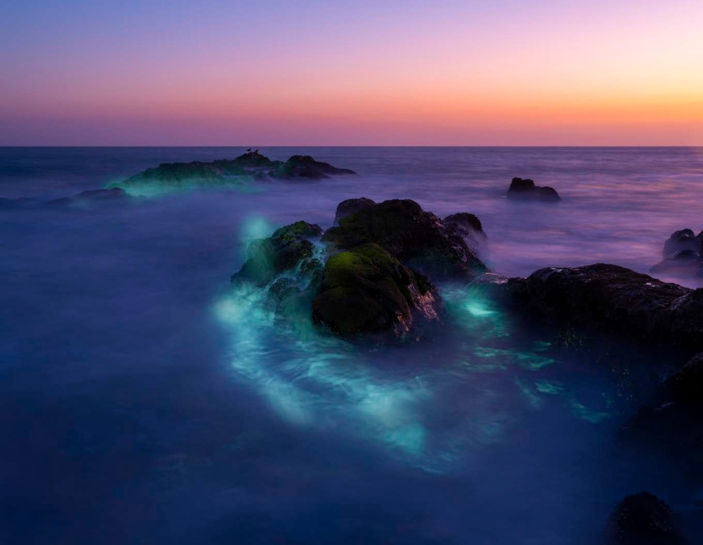 In honor of World Water Day we're featuring Kevin Cooley’s body of work “Pacific Ocean Blue” The work captures the mesmerizing movement of ocean waves, tides, swells, and currents along the coast of California and Japan.