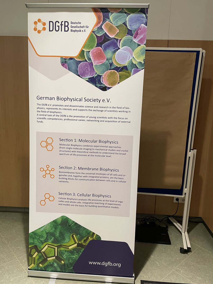 Schlierf_Lab's tweet photo. Enjoying very much to be back in Hünfeld for the #DGfB Molecular Biophysics meeting together with a great UK crowd. Fantastic (single-molecule) talks, lots of new things to learn. Thanks Ingrid Tessmer for the great organization. PS: happy to see our Diatom pic on the pop-up. https://t.co/byvxzcjHCE