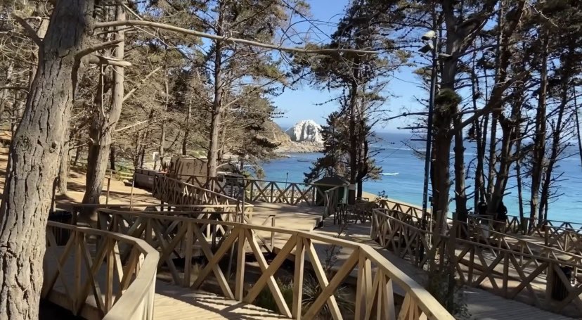 Quiero agradecer a la <a href="/Munialgarrobo/">Muni - Algarrobo</a> por los avances que ha hecho en inclusión. Las pasarelas de El Canelo y de la playa pejerrey hicieron de nuestras vacaciones un lugar acogedor y participativo para nuestro hijo. Por favor mantengan la de la playa todo el año y sigan avanzando!
