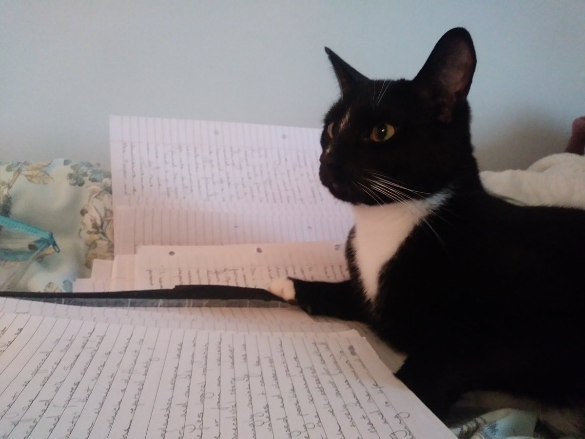 Tibbs has just read about a very spooky séance in my research notes.