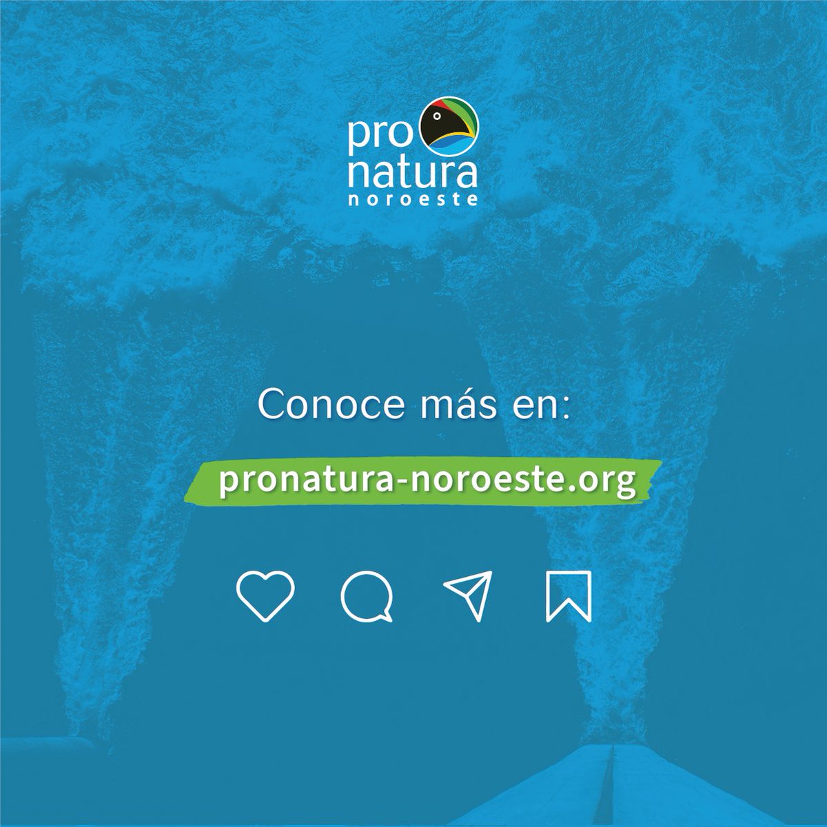 En el marco del Día Mundial del Agua, te presentamos algunos datos interesantes sobre cómo trabajamos para garantizar la permanencia y accesibilidad al vital recurso en diferentes ecosistemas prioritarios repartidos en el noroeste mexicano.