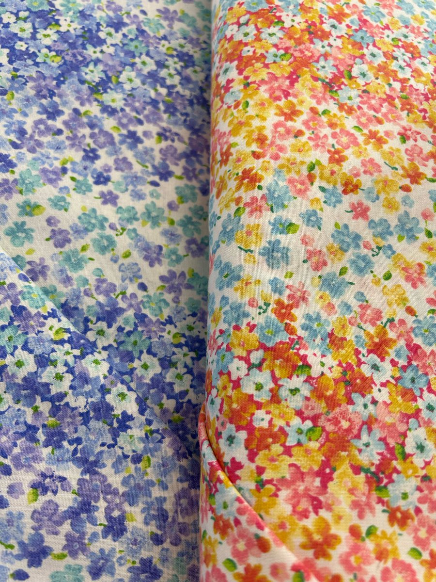 FT Calico think spring !