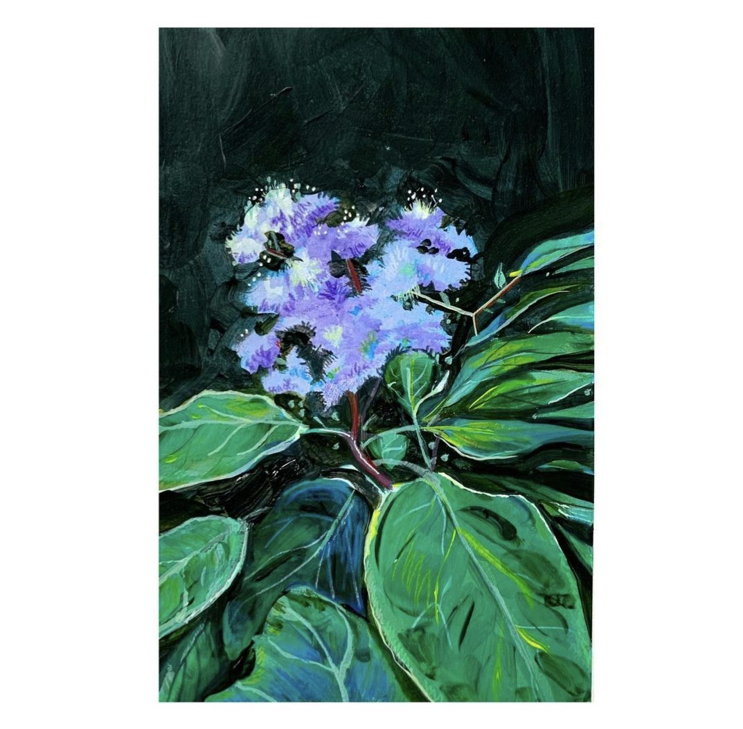 Happy Spring!!! 🌿 (Finally)