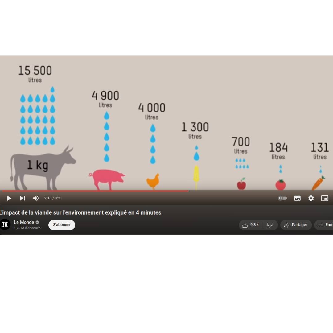 Zéro Déchet Rouen tweet media