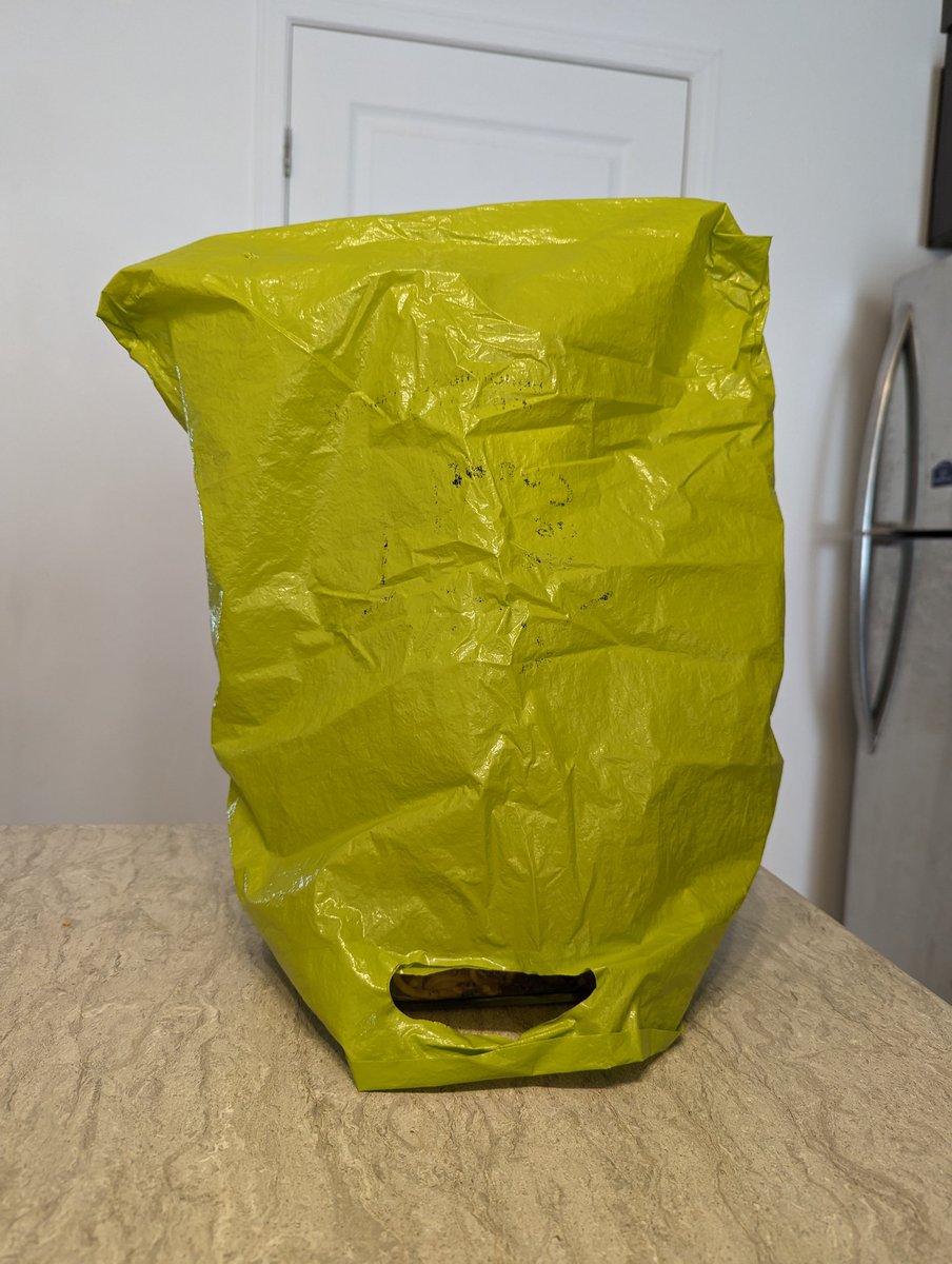 Packing my lunch $BAG for work. Did I do it right?