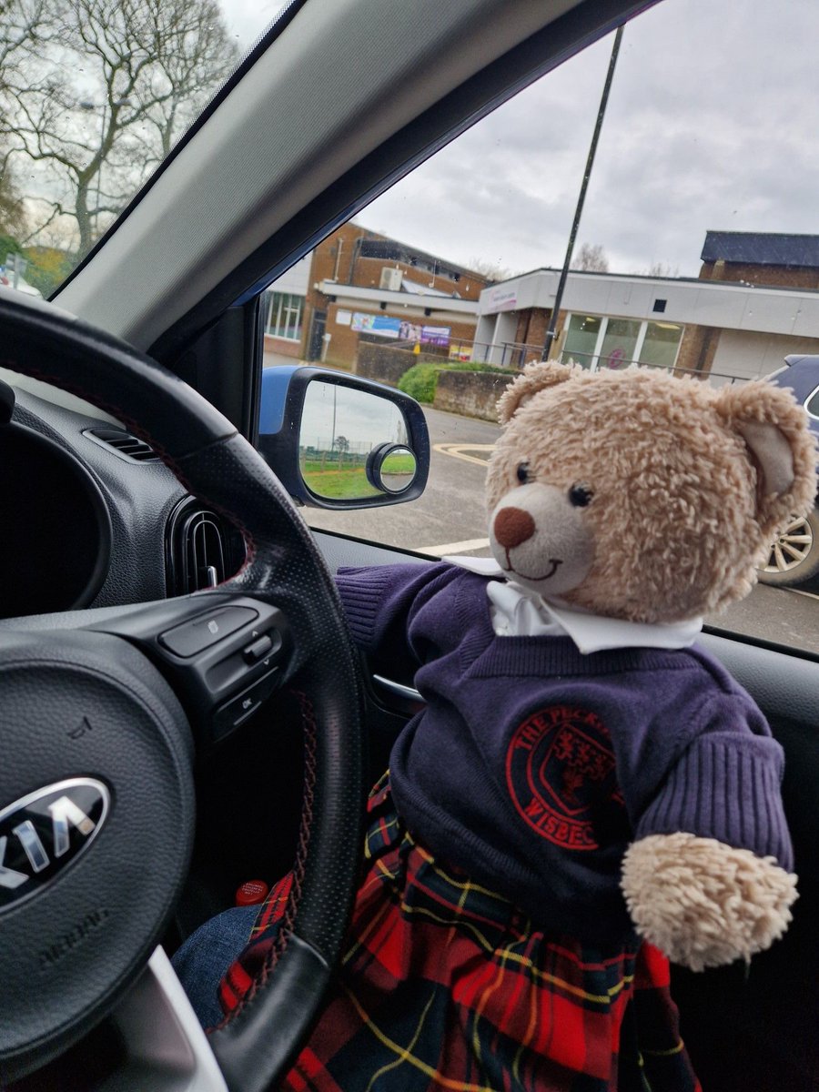 What a way to end Attendance Week at Peckover! Fudge, one of our attendance bears,  has enjoyed learning to drive after a sleepover with one of our children! Happy weekend everyone! #mirror, signal, manoeuv-bear!