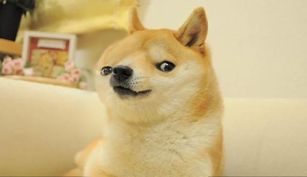 dear <a href="/CoinMarketCap/">CoinMarketCap</a> 

we applied for listing via Req No:878737

$DOEGE