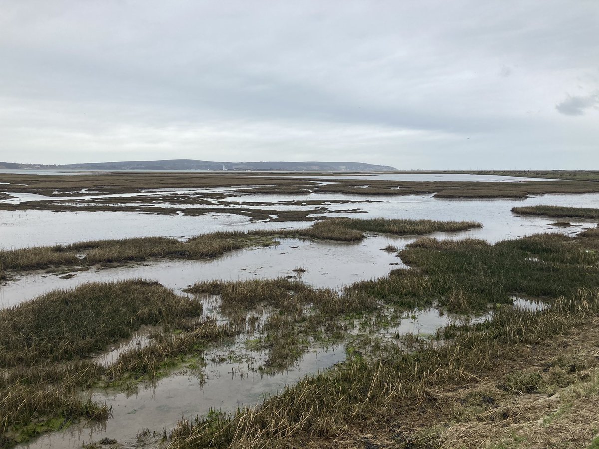 Beautiful subdued day for a walk from Keyhaven along the marshes and coastal route (with the Isle of Wight in our sights). #restday #space