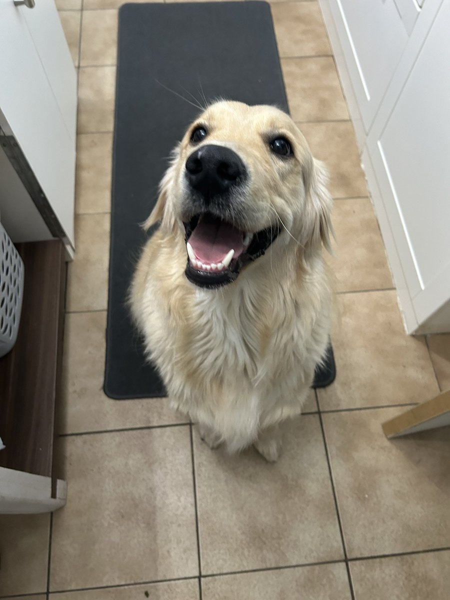 Miss Cevik tweet media