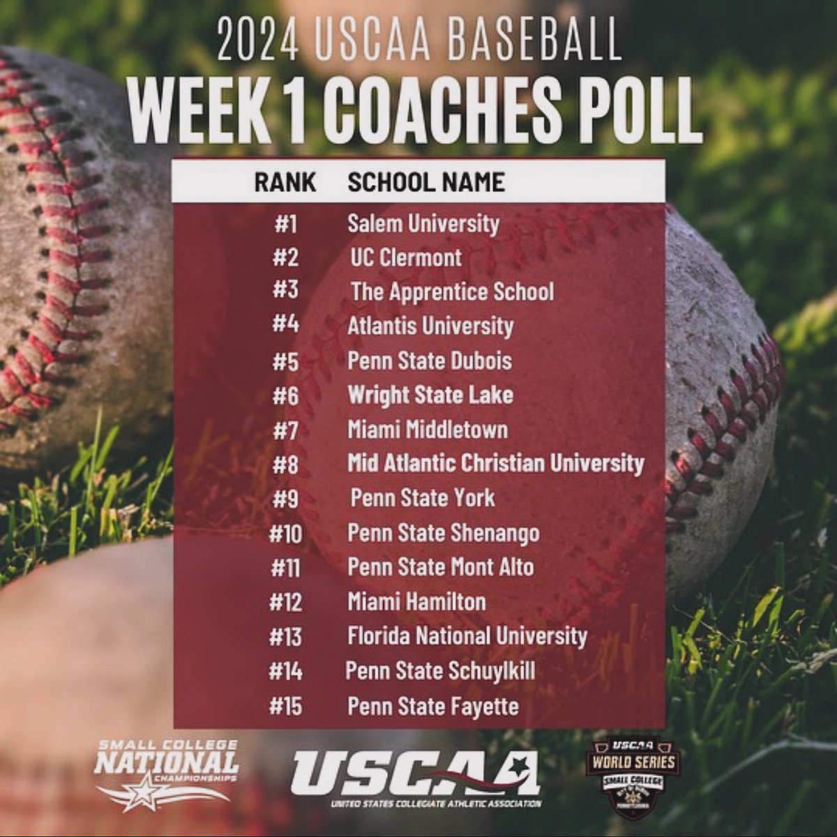 Wright State Lake Baseball tweet media