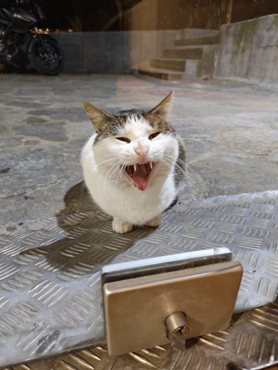 anrxkmn's tweet photo. Κοίτα να δεις που νόμιζα ότι εγώ νυστάζω https://t.co/hjmFua6YKH