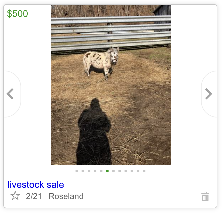 this photo is so confrontational.....you just know these two have crazy beef..