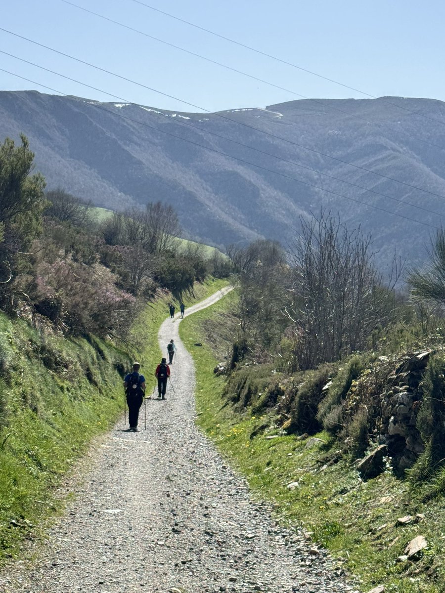 mandyconnor's tweet photo. CEWA Camino - O Cerbrero - TrIacestela @CatholicEdWA https://t.co/kX6Sy3g42m